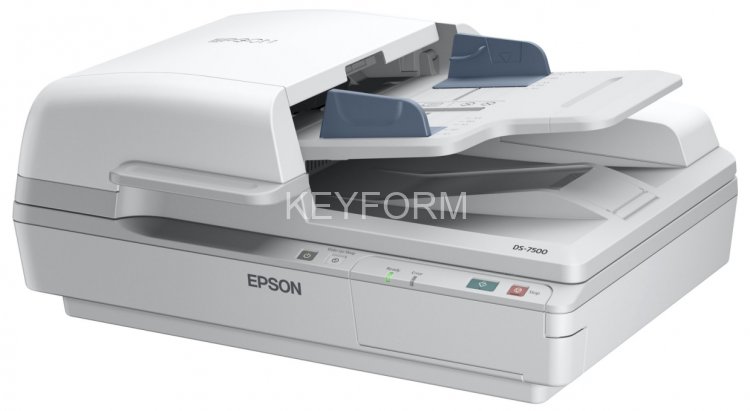 Сканер Epson B11B205331 (B11B205331)