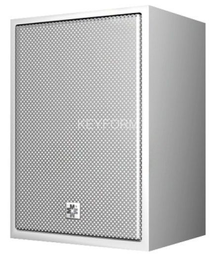 Громкоговоритель настенный Мета АСР-06.1.3-30В