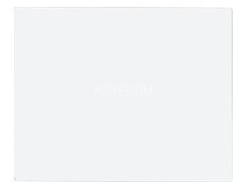 Стекло 1000 мм для мини-стойки