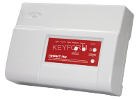 Пирит-ПУ вар.2