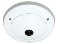 CO-PRO-i50DS1DNP-0101