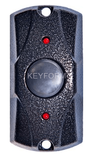 FE-100 (серебро)