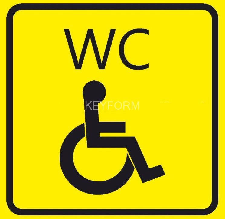 Туалет для инвалидов (200х200 мм)