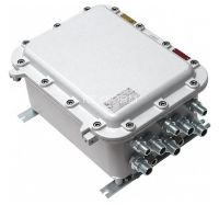 TFortis PSW-2G 4F Ex