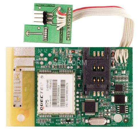 Гранд Магистр SMS