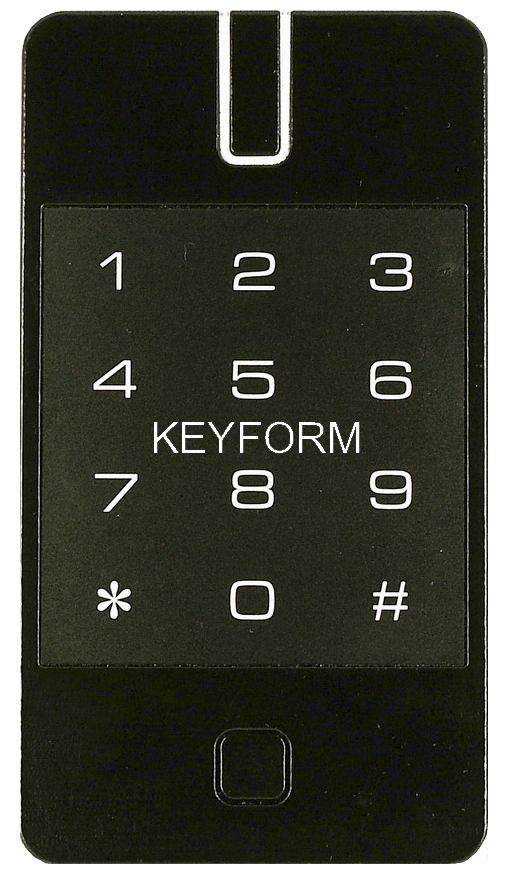 Сетевой контроллер Равелин Gate-IP200