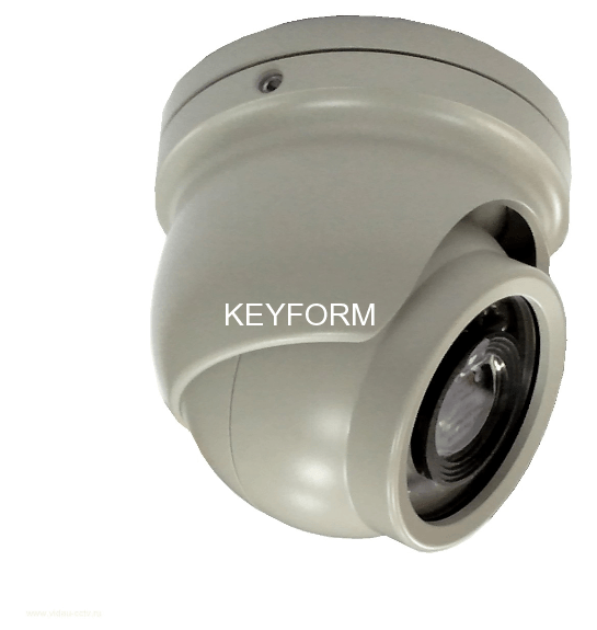 Видеокамера купольная уличная EverFocus ACE04SCI110EH (2,98)