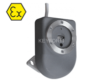 Спектрон-601 Exi (Спектрон-601В)