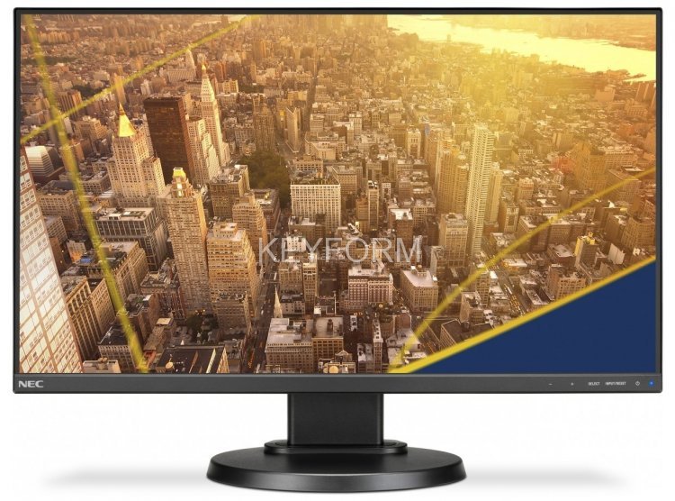 NEC MultiSync E241N Black(60004222)