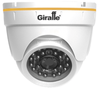 GF-IPVIR4406MP1.3 v2