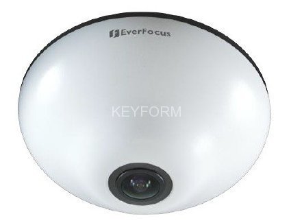 IP-камера купольная панорамная EverFocus EFN3320