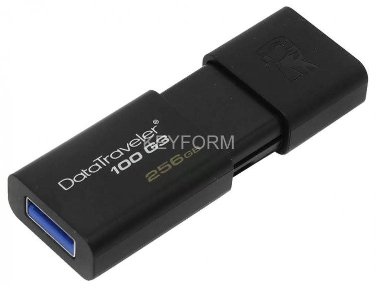 Флеш-накопитель Kingston DT100G3/256GB