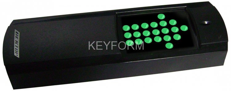 Считыватель со встроенным контроллером Электротехника и Автоматика ВЕКТОР-100-СКМ (черный)