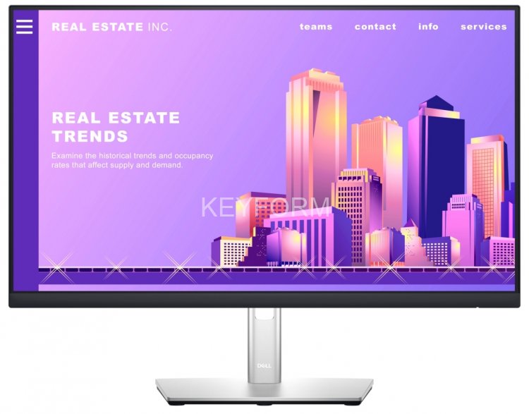 Монитор DELL Professional P2422H Dell 210-AZYX_bundle001