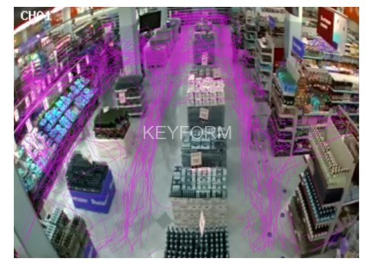 Модуль анализа движения посетителей DSSL TRASSIR Kinetic Map (1 сервер)