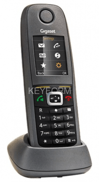 Gigaset R650H PRO RUS