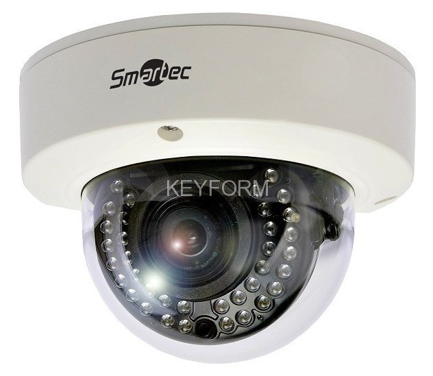 IP-камера купольная уличная антивандальная Smartec, Smartec STC-IPM3598A/1