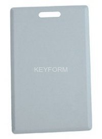 Temic (толстая)