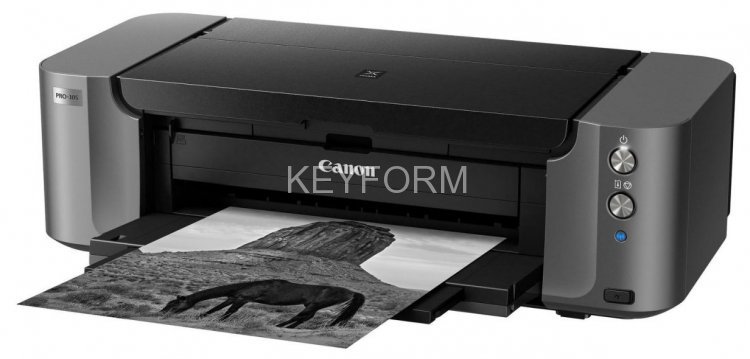 Принтер струйный Canon PIXMA PRO-10S
