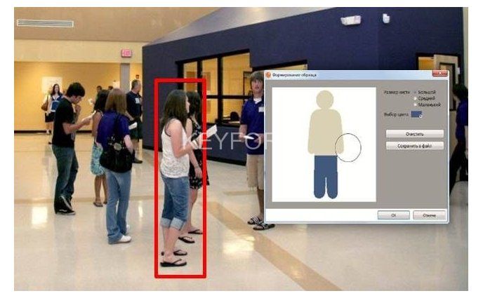 Программное обеспечение (опция) MACROSCOP Модуль