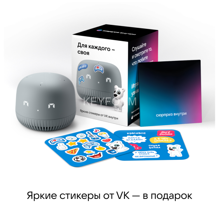 VK Капсула Нео (серый) MY.GAMES B.V. VKSP11GY