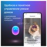VK Капсула Нео (серый) MY.GAMES B.V. VKSP11GY