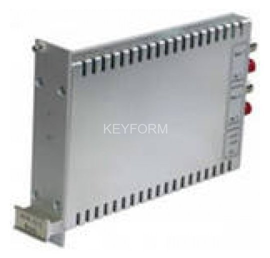 Двухканальный модуль Спецвидеопроект SVP-12-2Rack