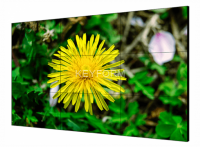 55&quot; LCD Экран, Разрешение 1920х1080; цветность 1.07 млрд; яркость 500кд/м2; контрастность 1400:1; время отклика 8мс; входы: HDMI 1 DVI 1 VGA 1 DP 1 USB 1; выходы :DP 1 HDMI 1; AC100В-240В; 192Вт;-0 C...+40C; размер 1211.54682.3468.9мм; шов 1.8мм; VESA под