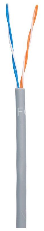 NETLAN U/UTP 2 пары, Кат.5, внутренний, PVC