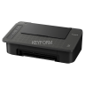 Принтер струйный Canon PIXMA TS304