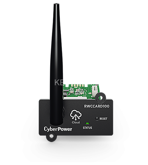 Карта облачного мониторинга Cyberpower RWCARD100