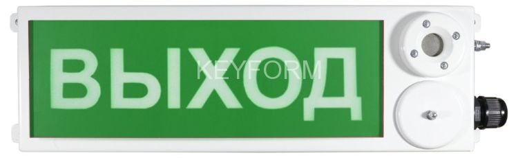 ТСЗВ-Exm-М-Прометей 12-36В 