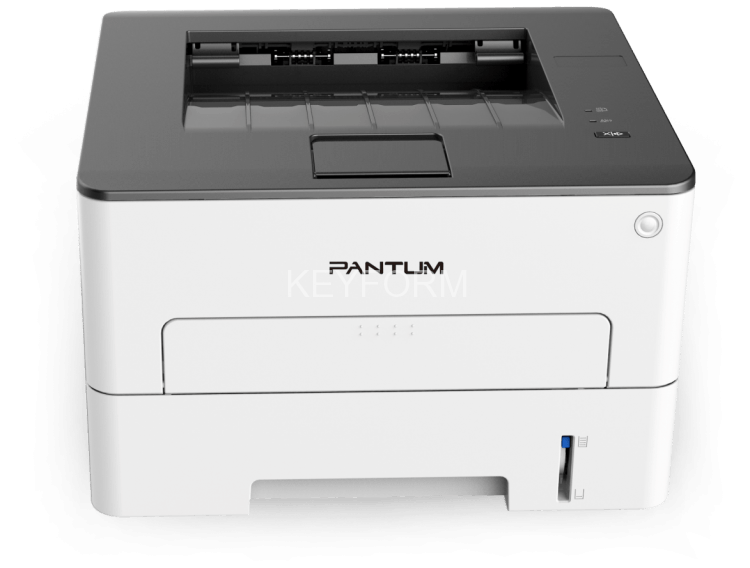 Принтер лазерный Pantum P3010D