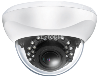 Видеокамера AHD цветная купольная EverFocus ACE-SD10BHI120V1F 2812