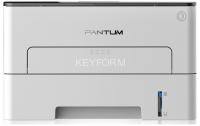 Принтер лазерный Pantum P3010DW
