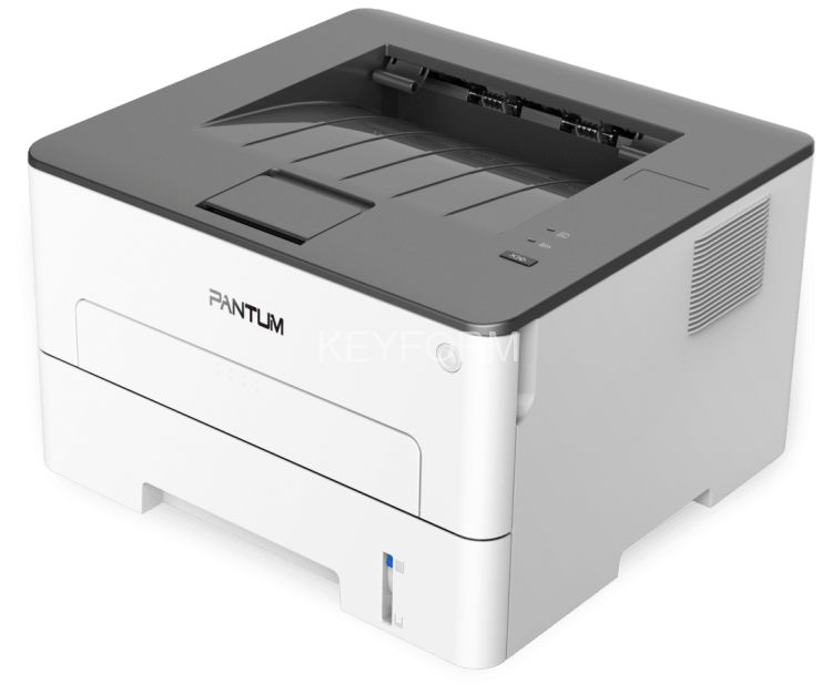 Принтер лазерный Pantum P3010DW