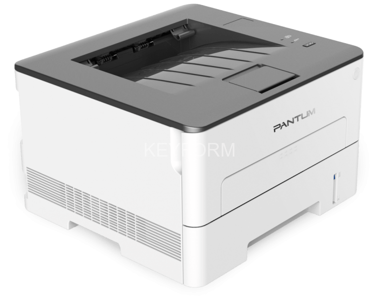 Принтер лазерный Pantum P3010DW