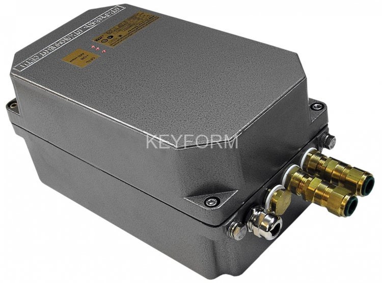 Источник вторичного электропитания резервированный взрывозащищенный Этра-спецавтоматика ИПВР-Ex-12-2,5