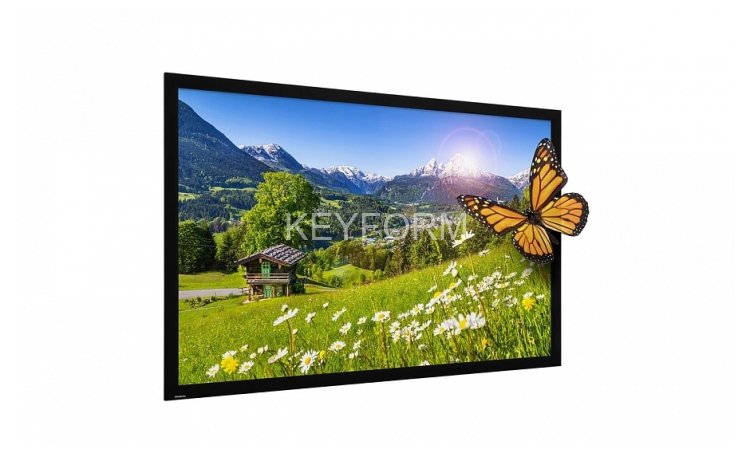 Проекционный экран Projecta 10630682