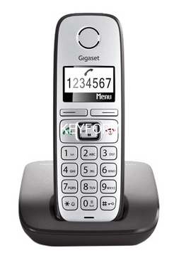 GIGASET E310