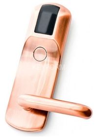 Z-8 EHT бронза