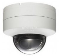 IP-камера купольная антивандальная Sony SNC-DH240T