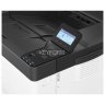 Монохромный принтер P 501 Ricoh P 501