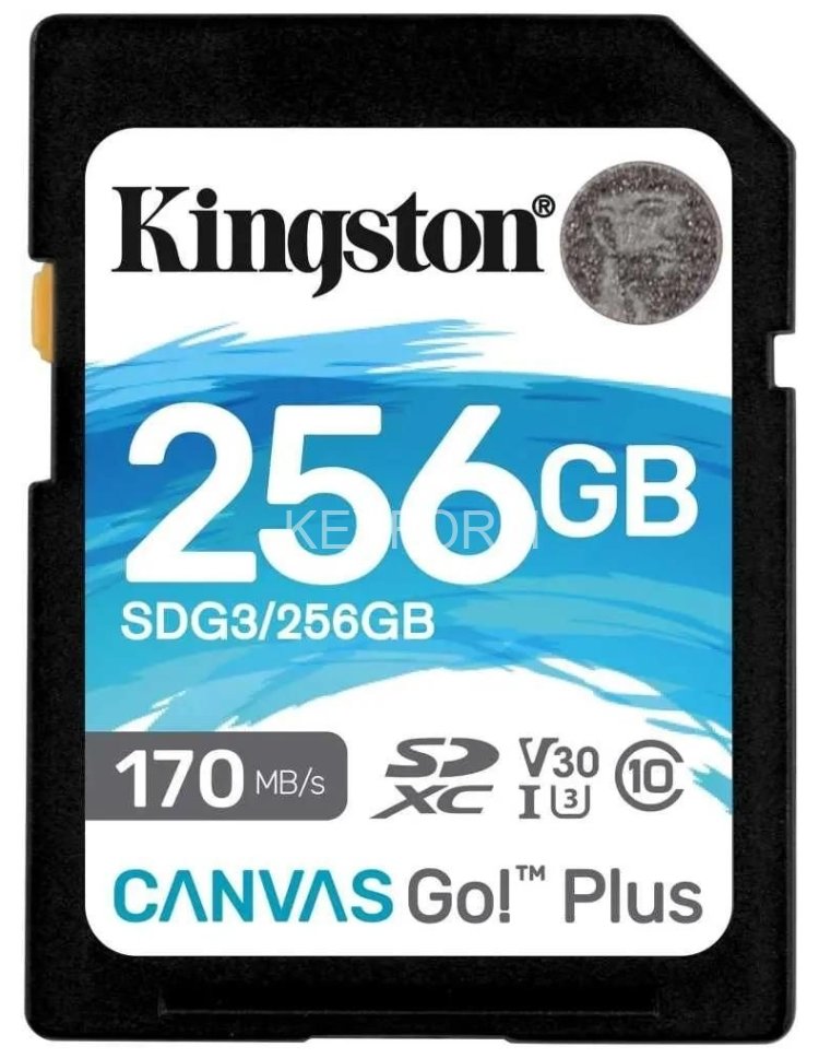 Карта памяти Kingston 56GB SDXC Canvas Go Plus 170R C10 UHS-I U3 V30 Kingston SDG3/256GB
