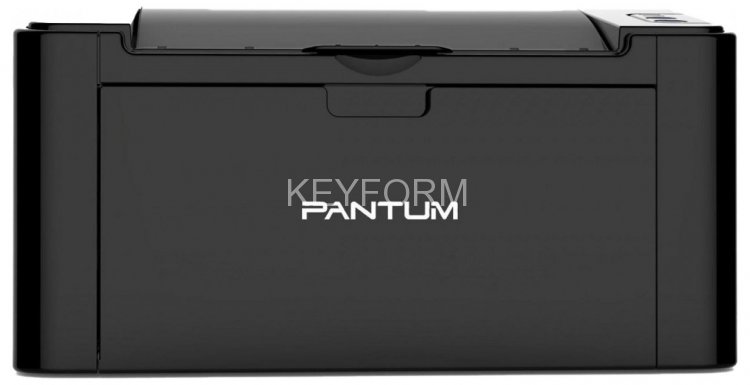 Принтер лазерный Pantum P2207