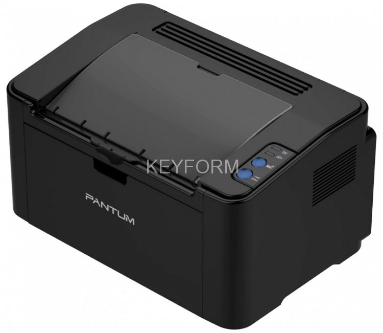 Принтер лазерный Pantum P2207