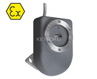 Спектрон-401ВМ.01 (на вспышку)