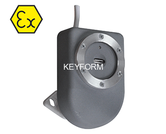 Извещатель пожарный пламени взрывозащищенный Спектрон ТПП Спектрон-401ВМ.01 (на вспышку)